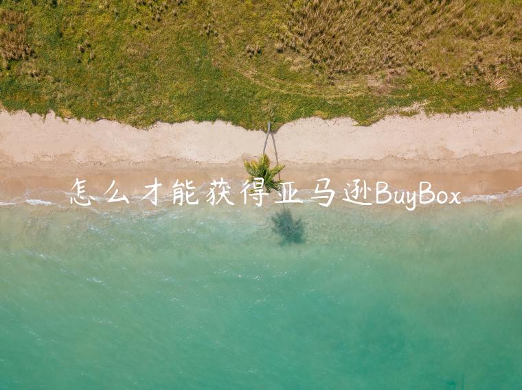 怎么才能獲得亞馬遜BuyBox